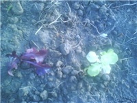 23bd23bb-Picture 029.jpg